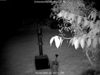 Archiv Foto Webcam Kurort Bärenfels - Schneemesser 01:00