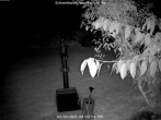Archiv Foto Webcam Kurort Bärenfels - Schneemesser 03:00