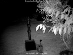 Archiv Foto Webcam Kurort Bärenfels - Schneemesser 03:00