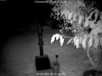 Archiv Foto Webcam Kurort Bärenfels - Schneemesser 06:00