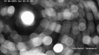 Archiv Foto Webcam Braunlage-Hohegeiß: Blick über das Tal 01:00