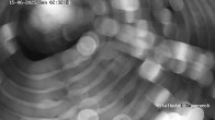Archiv Foto Webcam Braunlage-Hohegeiß: Blick über das Tal 20:00