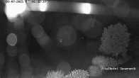 Archiv Foto Webcam Braunlage-Hohegeiß: Blick über das Tal 01:00