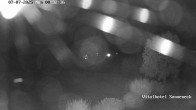 Archiv Foto Webcam Braunlage-Hohegeiß: Blick über das Tal 23:00