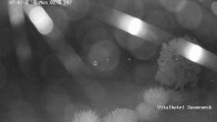 Archiv Foto Webcam Braunlage-Hohegeiß: Blick über das Tal 01:00