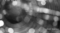 Archived image Webcam Hohegeiß-Braunlage: Panorama view 23:00