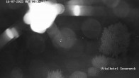 Archiv Foto Webcam Braunlage-Hohegeiß: Blick über das Tal 23:00