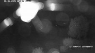 Archiv Foto Webcam Braunlage-Hohegeiß: Blick über das Tal 01:00
