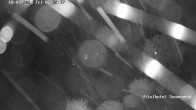 Archiv Foto Webcam Braunlage-Hohegeiß: Blick über das Tal 01:00