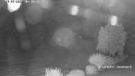 Archiv Foto Webcam Braunlage-Hohegeiß: Blick über das Tal 23:00