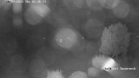 Archiv Foto Webcam Braunlage-Hohegeiß: Blick über das Tal 01:00