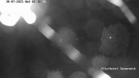 Archiv Foto Webcam Braunlage-Hohegeiß: Blick über das Tal 01:00