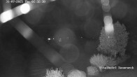 Archiv Foto Webcam Braunlage-Hohegeiß: Blick über das Tal 01:00