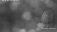 Archiv Foto Webcam Braunlage-Hohegeiß: Blick über das Tal 23:00
