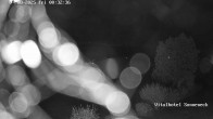 Archiv Foto Webcam Braunlage-Hohegeiß: Blick über das Tal 23:00