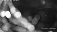 Archiv Foto Webcam Braunlage-Hohegeiß: Blick über das Tal 03:00