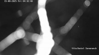 Archiv Foto Webcam Braunlage-Hohegeiß: Blick über das Tal 03:00