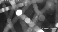 Archiv Foto Webcam Braunlage-Hohegeiß: Blick über das Tal 23:00