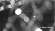 Archiv Foto Webcam Braunlage-Hohegeiß: Blick über das Tal 05:00