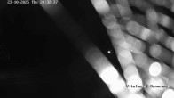 Archiv Foto Webcam Braunlage-Hohegeiß: Blick über das Tal 19:00
