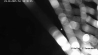 Archiv Foto Webcam Braunlage-Hohegeiß: Blick über das Tal 23:00