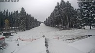 Archiv Foto Nationalpark Hunsrück-Hochwald: Webcam Erbeskopf 11:00