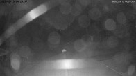 Archiv Foto Nationalpark Hunsrück-Hochwald: Webcam Erbeskopf 03:00