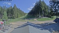 Archiv Foto Nationalpark Hunsrück-Hochwald: Webcam Erbeskopf 15:00