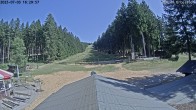 Archiv Foto Nationalpark Hunsrück-Hochwald: Webcam Erbeskopf 15:00