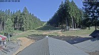 Archiv Foto Nationalpark Hunsrück-Hochwald: Webcam Erbeskopf 17:00
