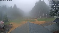 Archiv Foto Nationalpark Hunsrück-Hochwald: Webcam Erbeskopf 06:00