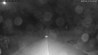 Archiv Foto Nationalpark Hunsrück-Hochwald: Webcam Erbeskopf 01:00