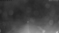 Archiv Foto Nationalpark Hunsrück-Hochwald: Webcam Erbeskopf 03:00