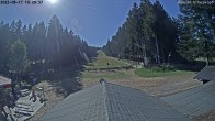 Archiv Foto Nationalpark Hunsrück-Hochwald: Webcam Erbeskopf 09:00