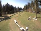 Archiv Foto Webcam Skiabfahrt an der Wasserkuppe 11:00