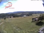 Archiv Foto Webcam Obere Postwiese in Neuastenberg 13:00