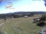Archiv Foto Webcam Obere Postwiese in Neuastenberg 15:00
