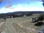 Archiv Foto Webcam Obere Postwiese in Neuastenberg 15:00