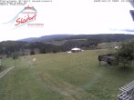 Archiv Foto Webcam Obere Postwiese in Neuastenberg 13:00