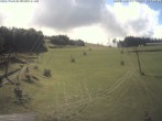Archiv Foto Webcam Steinbrink Nordhang 11:00