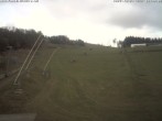 Archiv Foto Webcam Steinbrink Nordhang 15:00