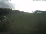 Archiv Foto Webcam Steinbrink Nordhang 11:00
