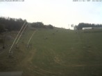 Archiv Foto Webcam Steinbrink Nordhang 11:00