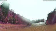 Archived image Webcam summer toboggan run, Bruchhausen 11:00