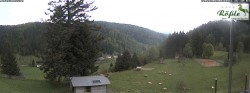 Archiv Foto Webcam Todtmooser Tal im Schwarzwald 15:00