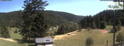 Archiv Foto Webcam Todtmooser Tal im Schwarzwald 15:00