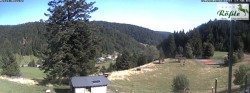 Archiv Foto Webcam Todtmooser Tal im Schwarzwald 17:00