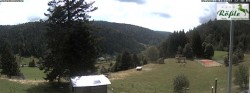 Archiv Foto Webcam Todtmooser Tal im Schwarzwald 11:00