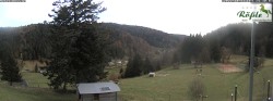 Archiv Foto Webcam Todtmooser Tal im Schwarzwald 13:00