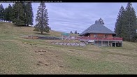 Archiv Foto Webcam Haldenköpfle im Schwarzwald - Hütte 11:00